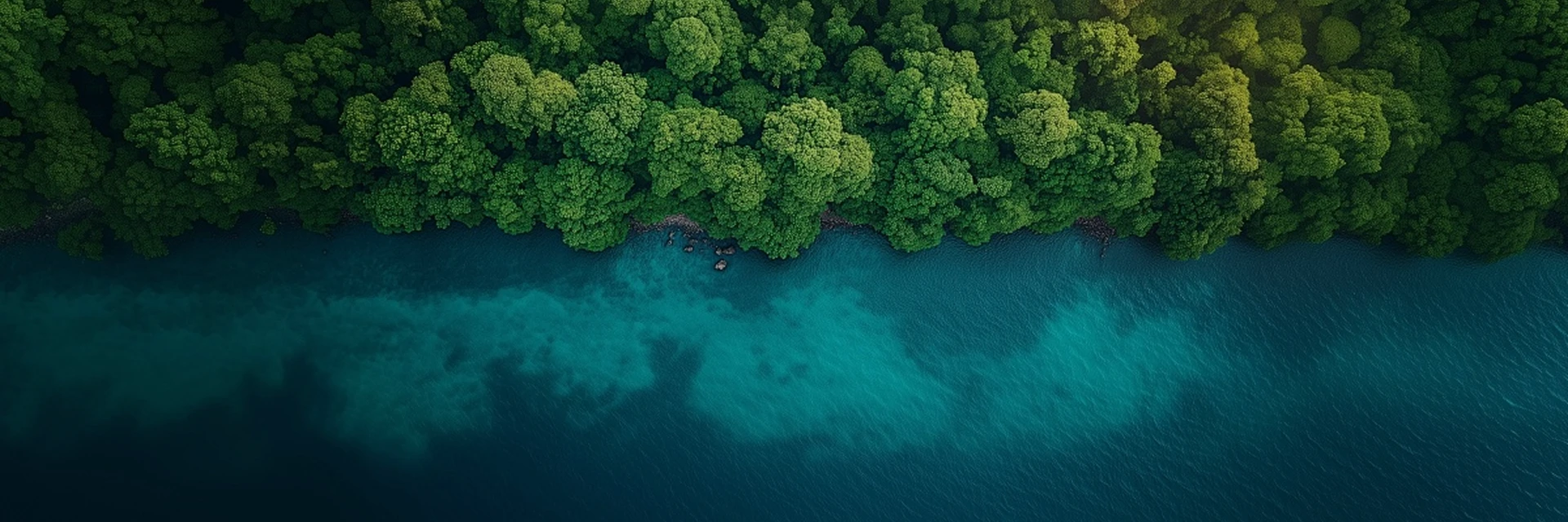SUSTAINABLE